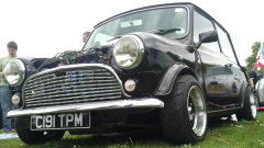 mini240135
